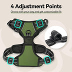 PHOEPET No Pull Dog Harness with Handle Front & Back Clip, Easy on Lockable Snap Buckle at Neck, Adjustable Reflective Vest with Handle for Small Medium Large Dogs (S, Misty Green)