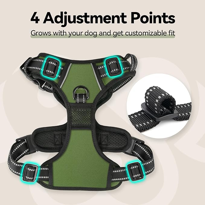 PHOEPET No Pull Dog Harness with Handle Front & Back Clip, Easy on Lockable Snap Buckle at Neck, Adjustable Reflective Vest with Handle for Small Medium Large Dogs (M, Misty Green)