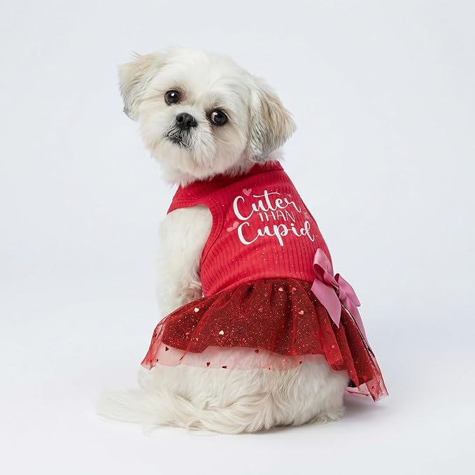 Fitwarm Cuter Than Cupid Dog Tulle Dress, Cute Girl Dog Clothes, Funny Pet Apparel, Burgundy Red, Small