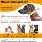 Mayerzon Martingale Dog Collar No Pull for Large Medium Dogs, Adjustable Neoprene Walking Collar for Pitbull German Shepherd Rottweiler, Reflective Anti Pull Design for Training Hiking(M, Black)