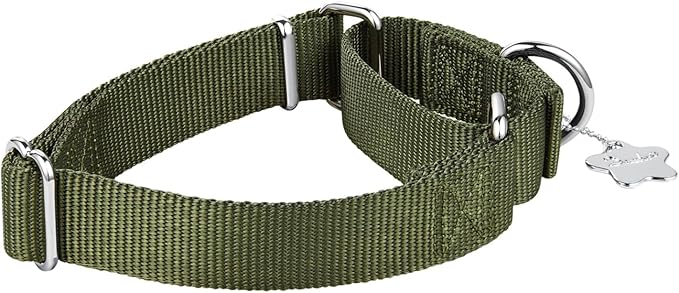 Martingale Dog Collar, Escape-Proof and No Slip Design, Heavy-Duty Nylon with Metal Buckle, Adjustable for Small, Medium & Large Dogs, Colorfast for Training, Daily Walks (Military Green,M)