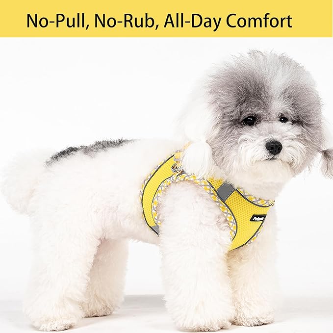 Petank Dog Harness for Small Medium Dogs No Pull, Puppy Harness and Leash Set for Walking, Running, Training, Small Dog Harness, Medium Dog Harness (Yellow, M)