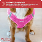 Downtown Pet Supply Step-in Dog Harness – No Pull, Adjustable Padded Mesh with Reflective Trim, Secure Buckle Strap – Comfortable & Breathable Small Dog Harness, XX-Small, Pink