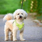 BARKBAY No Pull Dog Harness Large Reflective Dog Harness with Front Clip and Easy Control Handle for Walking Training Running with ID tag Pocket(Sunlight,S)