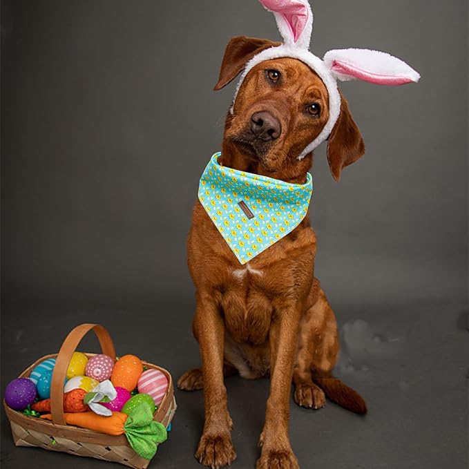Elegant little tail Easter Dog Bandana, Chicken Eggs 1PC Washable Dog Scarf Female or Male Square Bib Kerchief Scarf Adjustable Pet Bandana for Medium Large Dogs