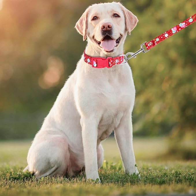 Dog Collar with Leash Airtag Holder Case Set - Dog Collars for Male Female Boy Girl Puppy X-Small Small Medium Large Dogs Walking Running Training - Red Daisy/M