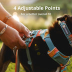 Ruffwear, Front Range Dog Harness, Reflective Soft Padded Harness with Dual Leash Clips, Adjustable and Lightweight Fit for Training or Walking for All Dogs, Moonlight Mountains, Large/X-Large