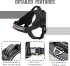 AUROTH Dog Harness and Leash Set, Soft Padded Service Dog Vest with 5.25FT Dog Leash, No Choke, Easy On Pet Vest, Adjustable Reflective No Pull Dog Harness Small Sized Dog, Easy Walking and Training