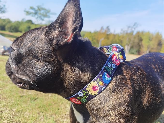 Martingale Dog Collars - Flower Multicolor Cute Patterns, Adjustable Nylon Training Dog Collar Suitable for Boy and Girl Dogs Medium Large Dogs (M, Black)