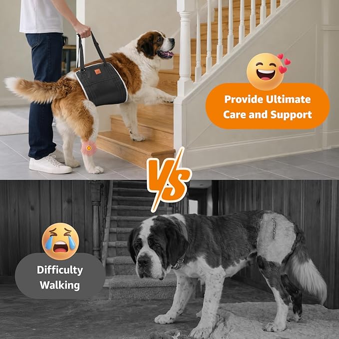 LOOBANI Dog Sling for Large Dogs Hind Leg Support, Portable Dog Lift Harness for Back Legs, Comfortable Leg Support Assistance for Elderly Dogs with Hip, ACL Brace, Senior, Injured
