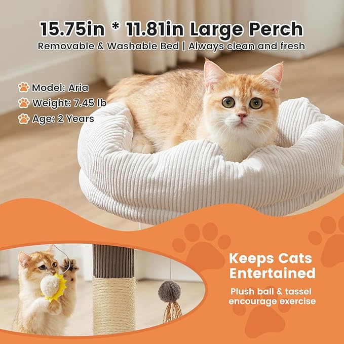 Gardner Pet 20" Cat Tree, Solid Wood Small Cat Tree with Cat Scratching-Posts & Hanging Toys for Kittens(Grey, Circle-Corduroy)