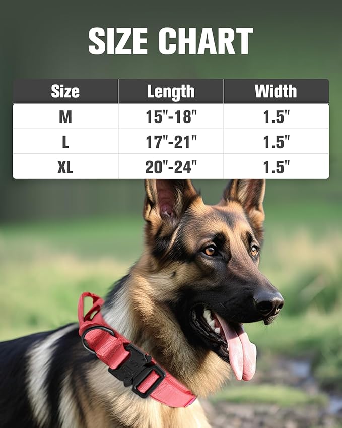 Joytale Tactical Dog Collar with Handle and Metal Buckle, Heavy Duty Padded Military Collar with 2 Patches for Training, Adjustable for Medium Dogs, Hotpink, M