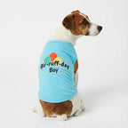 Fitwarm Birthday Boy Dog Shirt, Bir-Ruff-Day Boy Funny Dog Clothes for Small Dogs Boy, Pet Birthday Outfit, Cat Tshirt, 100% Breathable Cotton, Aqua Blue, XL