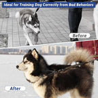 Pinch Collar for Dogs, Prong Training Collar with Quick Release Buckle for Dog Pulling Behavior Correction, Adjustable Pinch Leashes (M/L / 18-23" Neck Size)