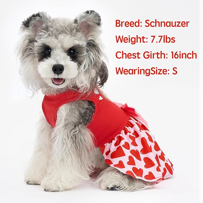 XPUDAC Valentine Dog Dress Heart Print Dog Dress for Small Dogs Girls Holiday Party Tulle Puppy Outfit Cat Apparel-S