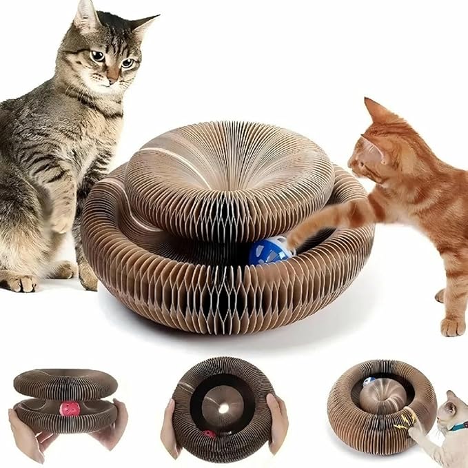 Kitten Curl Cat Toy, Magic Organ Cat Scratch Board, Foldable Cat Accordion Toy, Interactive Scratch Pad Cat Toy with Toy Bell Ball, Cat Scratchers for Physical Exercise Cats Indoor (1PC)