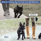 Pinch Collar for Dogs, Prong Training Collar with Quick Release Buckle for Dog Pulling Behavior Correction, Adjustable Pinch Leashes (Small / 12.5-18" Neck Size)