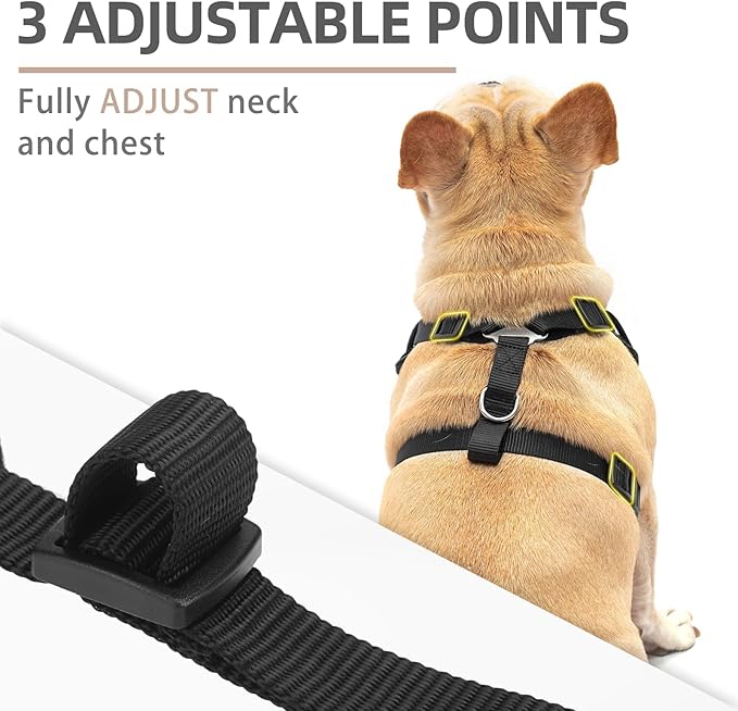 PUPTECK Small Dog Harness and Leash Set, No Pull Adjustable Puppy Cat Harness, Reflective Soft Mesh Pet Vest Small Sized, Black, S