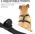 PUPTECK Small Dog Harness and Leash Set, No Pull Adjustable Puppy Cat Harness, Reflective Soft Mesh Pet Vest Small Sized, Black, M