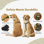 PawsPassion Dog Harness for Large Dogs, No Pull Dog Harness with Metal Hardware, Ergonomic Y-Shaped Design, Soft Padding, Padded Handle, Durable High-Tensile Nylon (Sunrise, L)