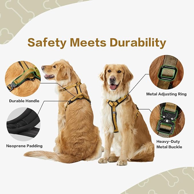 PawsPassion Dog Harness for Large Dogs, No Pull Dog Harness with Metal Hardware, Ergonomic Y-Shaped Design, Soft Padding, Padded Handle, Durable High-Tensile Nylon (Sunrise, L)