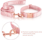 Bubblepup Velvet Dog Collar and Leash Set, Dog Collars for Small Medium Large Dogs Leash for Training & Walking