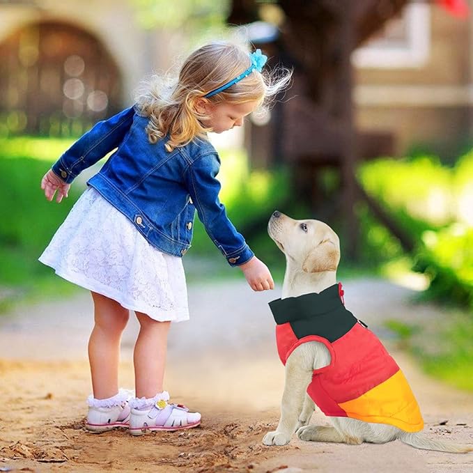 Idepet Pet Dog Cat Coat with Leash Anchor Color Patchwork Padded Puppy Vest Jacket Teddy Chihuahua Costumes Pug Cloth XS S M L (Small (Pack of 1), Yellow)