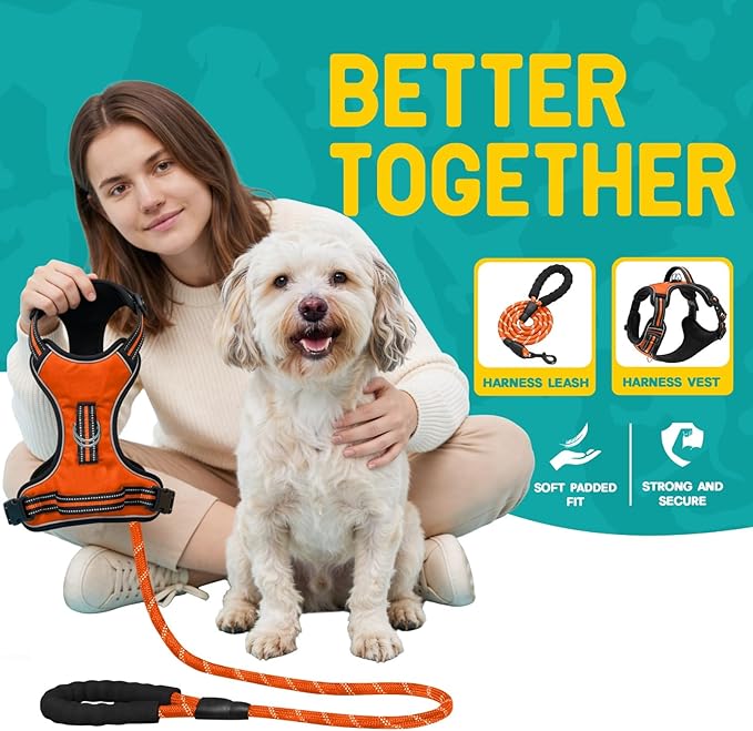 No Pull Dog Harness and Leash Set for Small Dogs – Adjustable Reflective Breathable Soft Padded Easy Control Dog Harness for Training & Walking, Orange (Small)