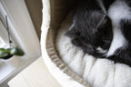 Best Pet Supplies Cat Bed for Indoor Cat, Domed Tent House with Removable Pillow, Covered Cat Cave for Small Dog, Puppies and All Breeds of Cats - Gray, 17 x 15 x H:14"