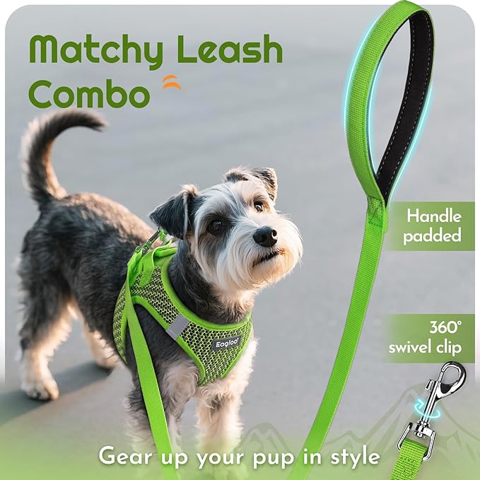 Eagloo Small Dog Harness and Leash Set, Step in Puppy Vest with Breathable Soft Mesh, Walking Reflective Pet Harness for Small Dogs, Green, XS