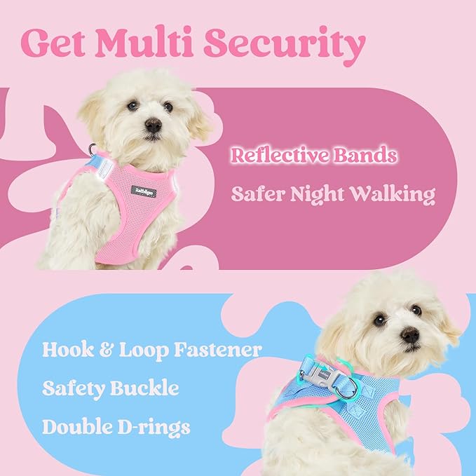 rabbitgoo Small Dog Harness, Step-in Soft Mesh Puppy Vest with Safety Buckle, Breathable Reflective Pet Harness for Extra Small Dogs, Blue & Light Pink XXS