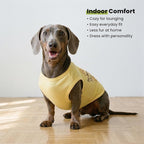 Fitwarm Bee the Best You Can Dog Shirt, Summer Clothes for Small Dogs Boy Girl, Funny Pet Outfit, Yellow, Brown, Blue, XXL