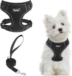 PUPTECK Small Dog Harness and Leash Set, No Pull Adjustable Puppy Cat Harness, Reflective Soft Mesh Pet Vest Small Sized, Black, S