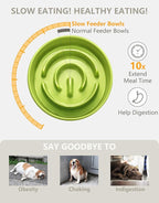 Ceramic Slow Feeder Dog Bowls, 0.6 Cup Slow Feeder for Small Dogs, Puzzle Maze Bowl, Prevents Choking, 6in, Green