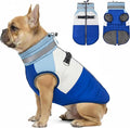 azuza Dog Coat Waterproof Winter Coat for Small Dogs, Warm Fleece Vest with Reflective Strips & Built-in Harness, Windproof Back Zipper, Blue S