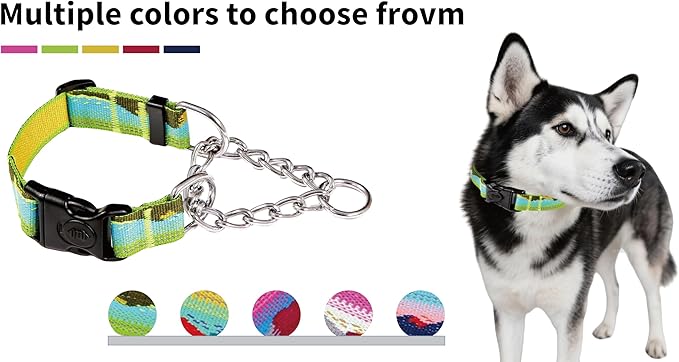 Martingale Dog Collars with Stainless Steel Chain, Reflective No Pull Walking Training Collar with Quick Release Buckle, Adjustable Slip Chain Nylon Dog Collars for Small Medium Large Dogs