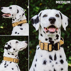 Tuff Pupper Tactical Dog Collar with Handle | Heavy Duty Adjustable Dog Collar | Military Nylon Collar for Medium Dogs | Quick-Release Buckle | Soft Padded Comfort | Training Control (Tan, Medium)