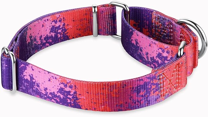 Martingale Dog Collar Escape-Proof for Training - No-Buckle, Durable Polyester Design for Medium Breeds (Purple Secret,M)
