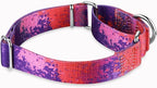 Martingale Dog Collar Escape-Proof for Training - No-Buckle, Durable Polyester Design for Medium Breeds (Purple Secret,M)