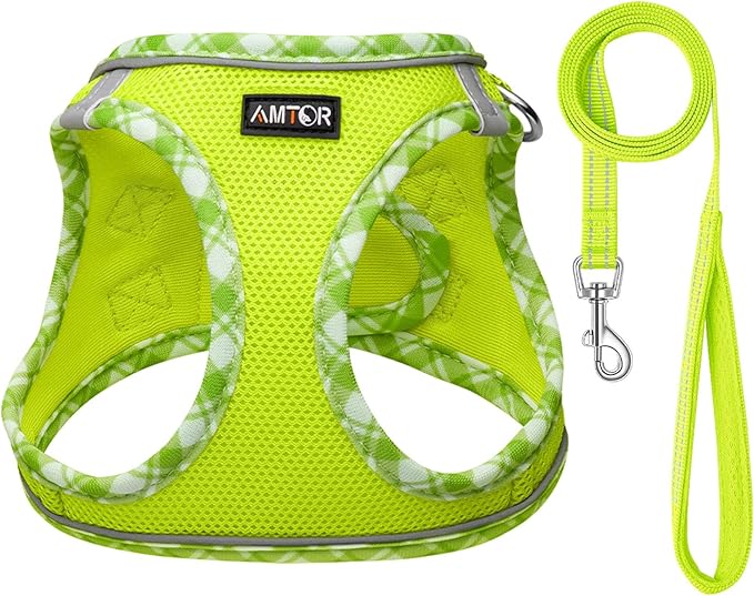 AMTOR Small Dog Harness with Leash Set, No Escape Easy Walk Puppy Harnesses for Training Walking, Step-in Reflective Soft Dogs Vest for XS S Medium Extra-Small Large Sized Dog(XS Size,Green/White)