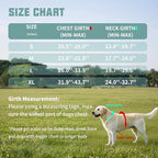 AUROTH Dog Harness and Leash Set, Soft Padded Service Dog Vest with 5.25FT Dog Leash, No Choke, Easy On Pet Vest, Adjustable Reflective No Pull Dog Harness for Large Dogs, Easy Walking and Training