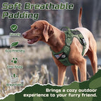 rabbitgoo Tactical Dog Harness for Large Dogs, No Pull Military Service Vest with Handle & Molle, Easy Control for Training Walking, Adjustable Reflective Straps, Green, XL