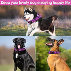 Tactical Dog Collar with Heavy Duty Metal Buckle and Control Handle for Medium Large Dogs Training(Purple Camo, Medium)