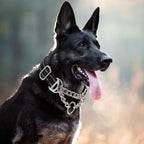 Reflective Martingale Collar for Dogs with Steel Chain, Adjustable No Pull Dog Training with Soft Padded for Large Breed Dogs, Medium, XL, XXL Walking Collar (Black L)