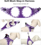 Mercano Soft Mesh Dog Harness and Leash Set, No-Chock Step-in Reflective Breathable Lightweight Easy Walk Vest Harnesses with Safety Buckle for Small Dogs, Cats (M, Purple)