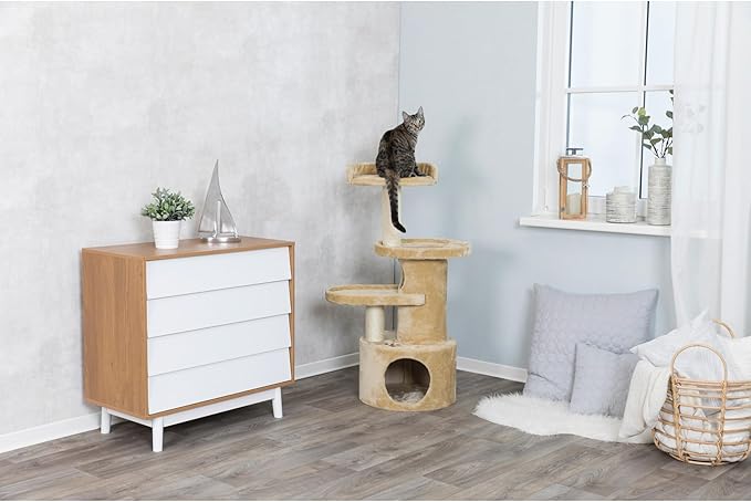 TRIXIE Pet Products Oviedo Cat Tree (Beige) Large (11 x 19 x 41 in.)