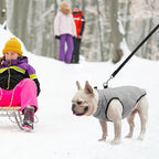 SCENEREAL Winter Dog Vest Coat with Harness Built in, Warm Puppy Jacket for Small Medium Sized Dogs, Dog Cold Weather Coats with Zipper, Fleece Puffer Vest Windproof Snow Clothes for Puppies Pet