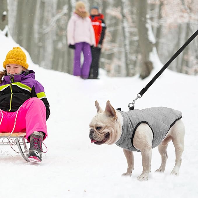 SCENEREAL Winter Dog Vest Coat with Harness Built in, Warm Dog Jacket, Small Medium Dogs Cold Weather Coats with Zipper, Fleece Puffer Vest Windproof Snow Clothes for Puppy Pet