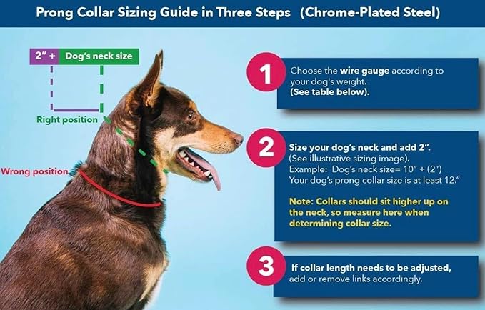 Herm Sprenger 2.25mm Prong Collar for Dogs Training – Quick Release Buckle & Swivel Ring for Easy Use – Made of Durable Chrome Plated Stainless Steel in Germany– (14-19" Neck)