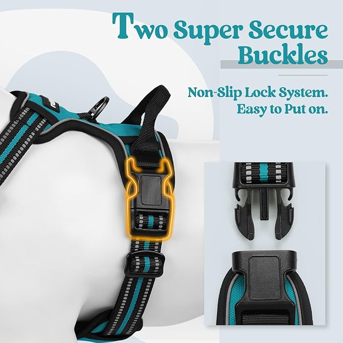 rabbitgoo Dog Harness No Pull with 2 Leash Clips, Adjustable Soft Padded, Reflective Oxford No Choke Pet Vest with Easy Control Handle for Small Dogs, Teal, S